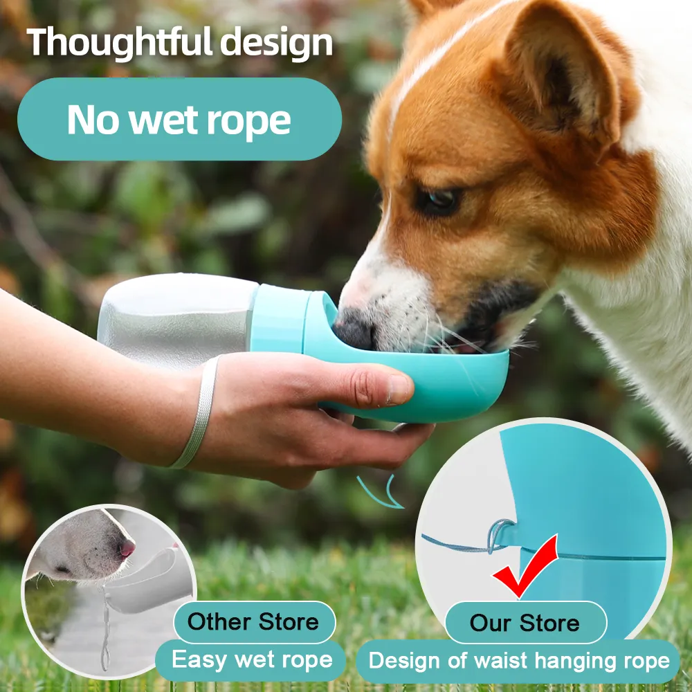Chien qui boit dans la gourde pliable Gambadeau pendant une balade